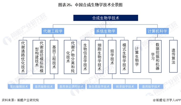 图表25：中国合成生物学技术全景图