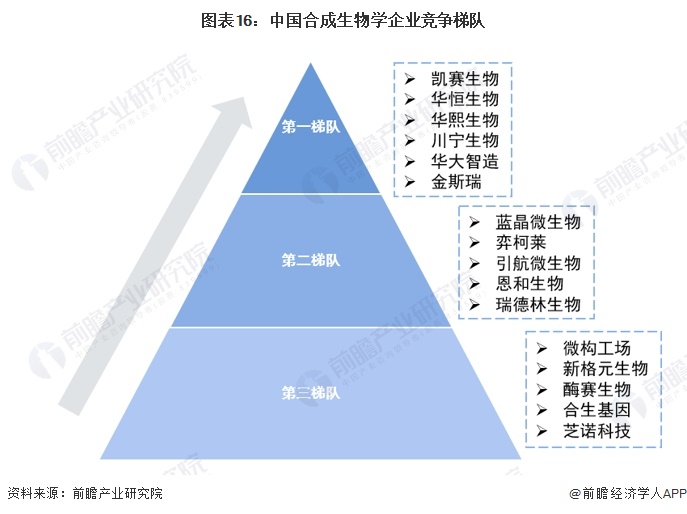 图表16：中国合成生物学企业竞争梯队