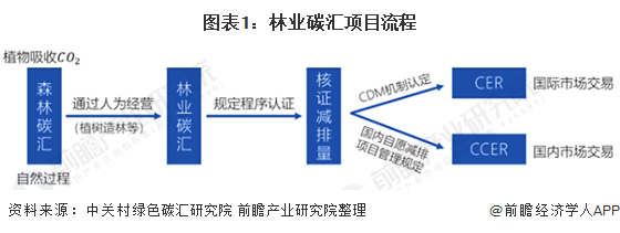 圖表1：林業(yè)碳匯項目流程