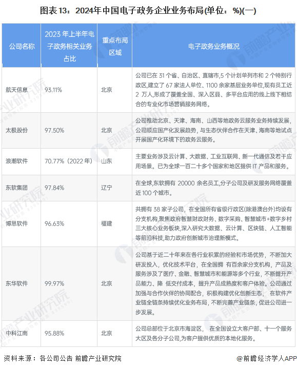 图表13：2024年中国电子政务企业业务布局(单位：%)(一)