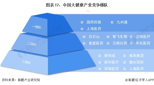 图表17：中国大健康产业竞争梯队