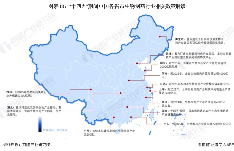 图表13：“十四五”期间中国各省市生物制药行业相关政策解读