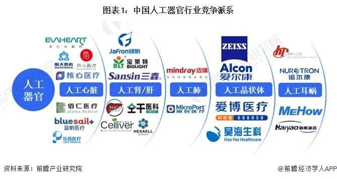 图表1：中国人工器官行业竞争派系