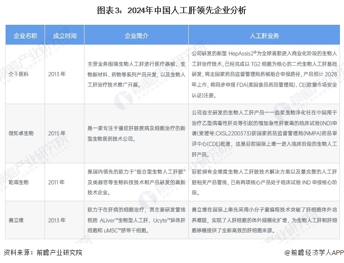 图表3：2024年中国人工肝领先企业分析