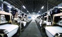 2024年江苏省纺织机械行业发展现状分析 经济运行指标持续小幅下降、出口下降明显