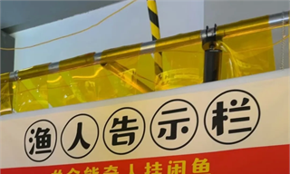 闲鱼,还是癫成了年轻人喜欢的样子