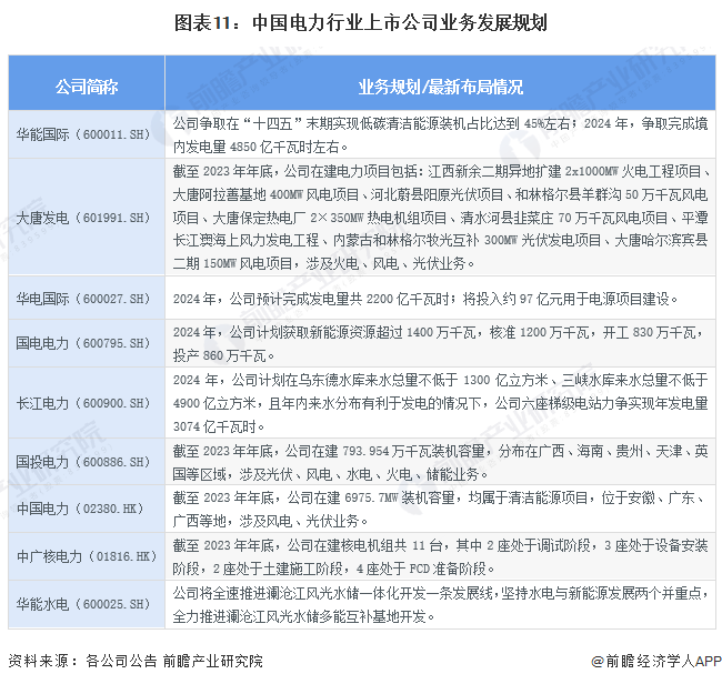 图表11：中国电力行业上市公司业务发展规划