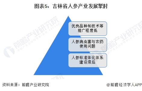 图表5：吉林省人参产业发展掣肘