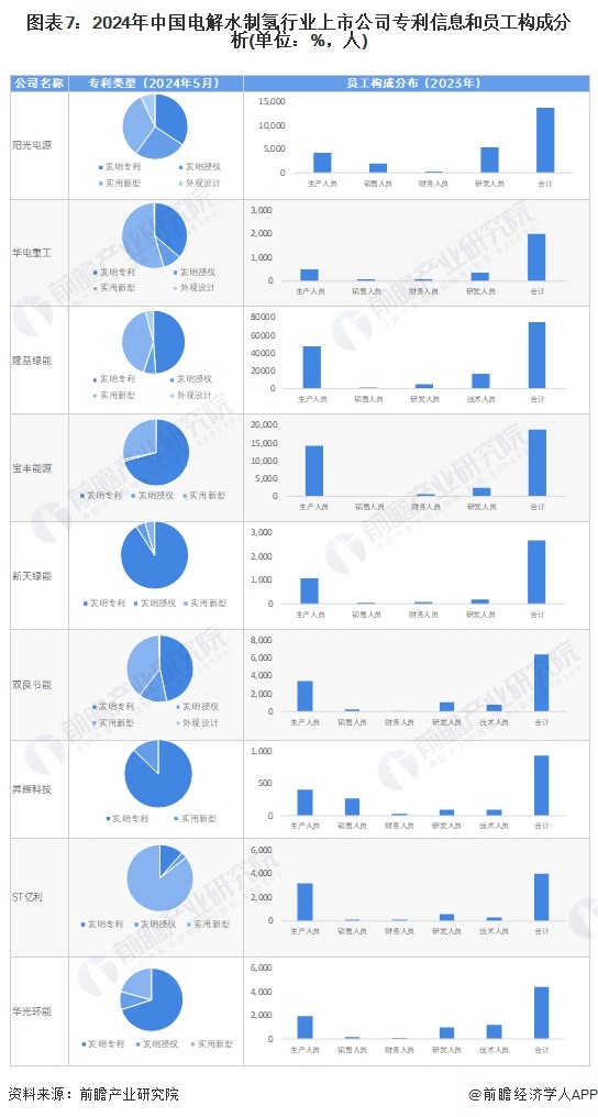 图表7：2024年中国电解水制氢行业上市公司专利信息和员工构成分析(单位：%，人)