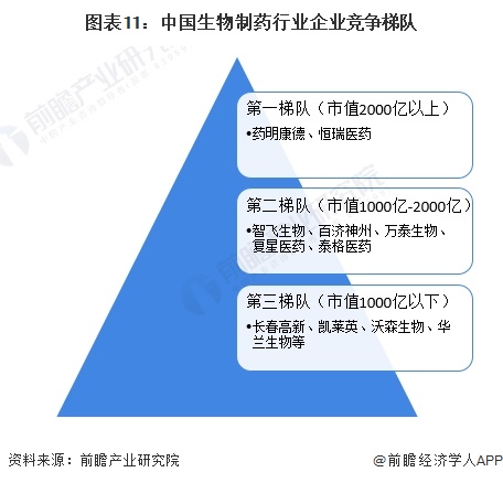 图表11：中国生物制药行业企业竞争梯队