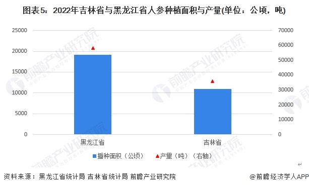 图表5：2022年吉林省与黑龙江省人参种植面积与产量(单位：公顷，吨)