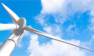 整机国产化率超99%！全球单机容量最大风电机组启动发电：叶轮扫风面积相当于7.5个足球场，年产出7400万度<em>清洁</em>电能【附风电行业