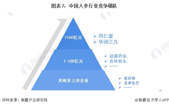 图表7：中国人参行业竞争梯队