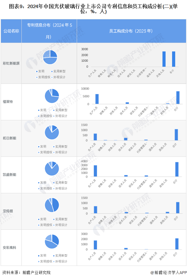 图表9：2024年中国光伏玻璃行业上市公司专利信息和员工构成分析(二)(单位：%，人)