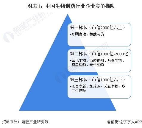 图表1：中国生物制药行业企业竞争梯队