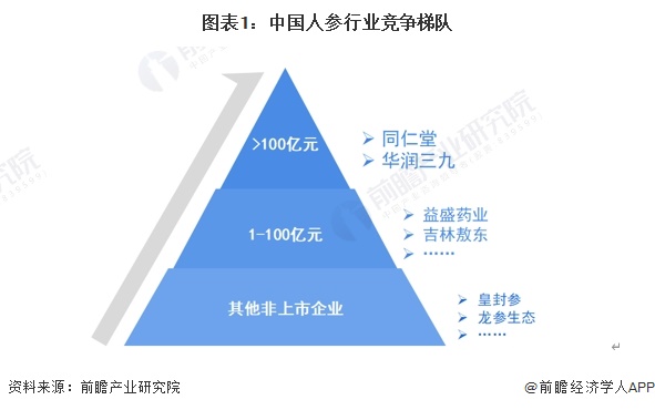 图表1：中国人参行业竞争梯队