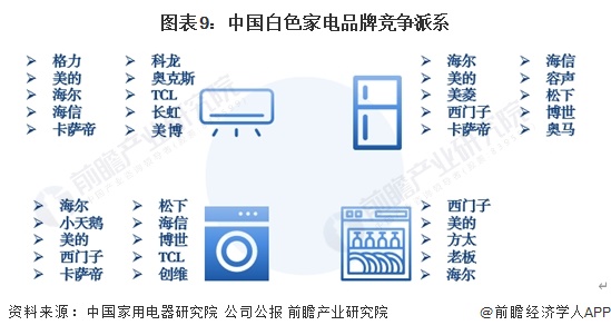 图表9：中国白色家电品牌竞争派系