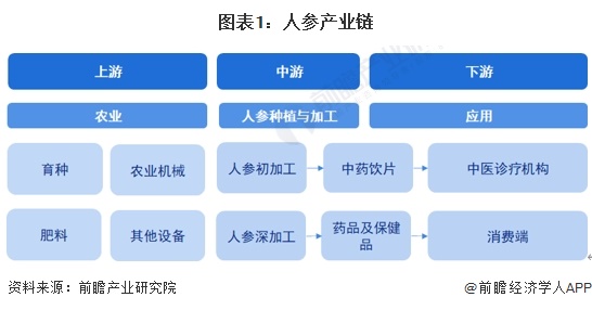 图表1：人参产业链