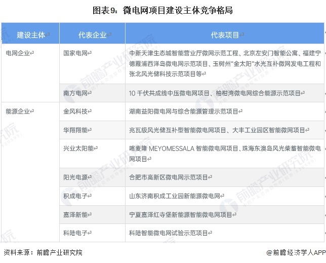 图表9：微电网项目建设主体竞争格局