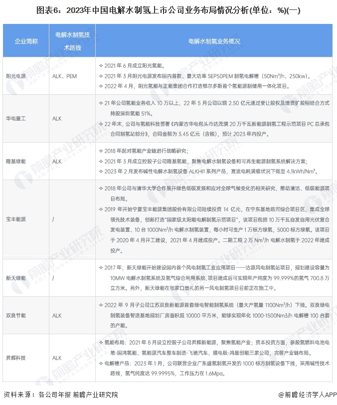 圖表6：2023年中國(guó)電解水制氫上市公司業(yè)務(wù)布局情況分析(單位：%)(一)