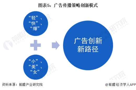 图表5：广告传播策略创新模式