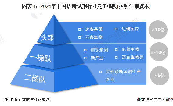 图表1：2024年中国诊断试剂行业竞争梯队(按照注册资本)