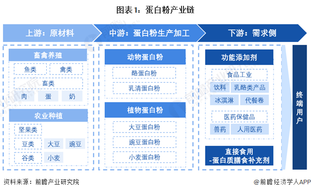 图表1：蛋白粉产业链