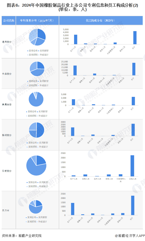 图表6：2024年中国橡胶制品行业上市公司专利信息和员工构成分析(2)(单位：条，人)