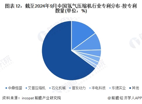 图表12：截至2024年9月中国氢气压缩机行业专利分布-按专利数量(单位：%)