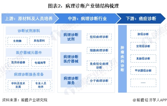 图表2：病理诊断产业链结构梳理