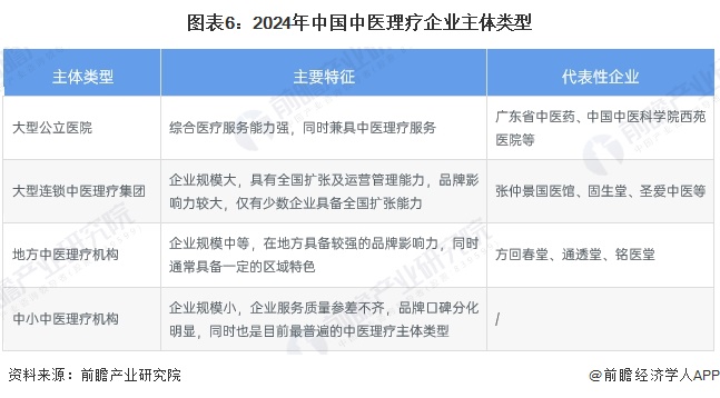 图表6：2024年中国中医理疗企业主体类型