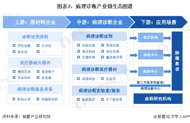 图表2：病理诊断产业链生态图谱