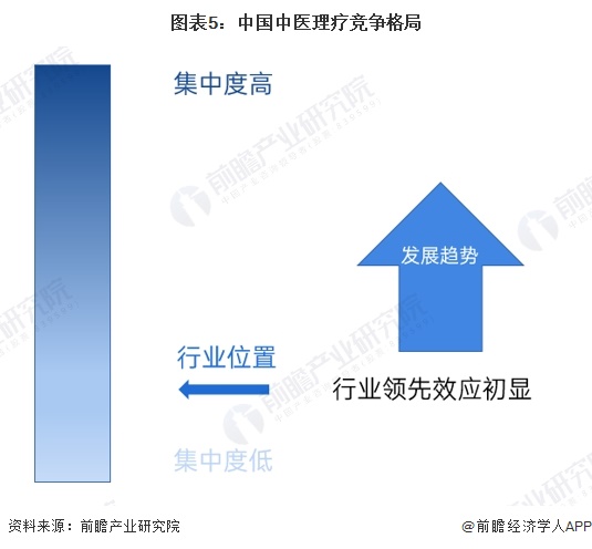 图表5：中国中医理疗竞争格局