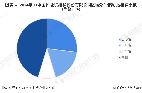 图表5：2024年H1中国投融资担保股份有限公司区域分布情况-按担保余额(单位：%)