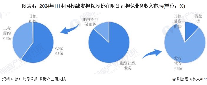 圖表4：2024年H1中國投融資擔(dān)保股份有限公司擔(dān)保業(yè)務(wù)收入布局(單位：%)