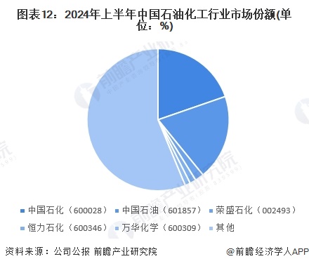 圖表12：2024年上半年中國石油化工行業(yè)市場份額(單位：%)