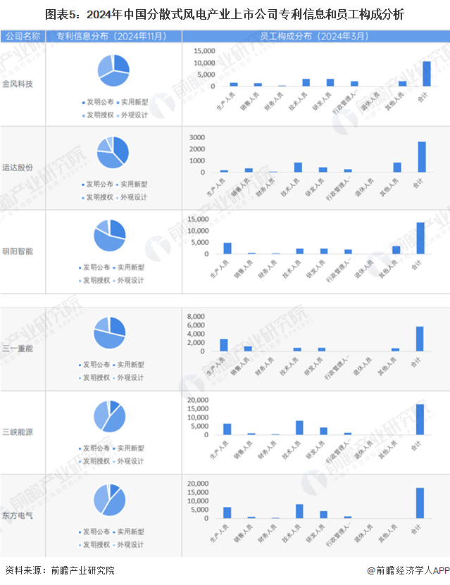 圖表5：2024年中國(guó)分散式風(fēng)電產(chǎn)業(yè)上市公司專利信息和員工構(gòu)成分析