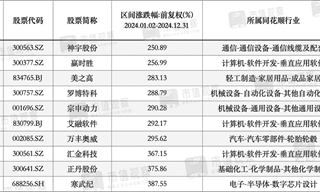 2024年，A股十大暴涨公司