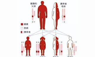 为何血友病赛道会诞生爆款？