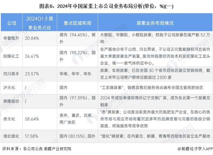 图表6：2024年中国尿素上市公司业务布局分析(单位：%)(一)