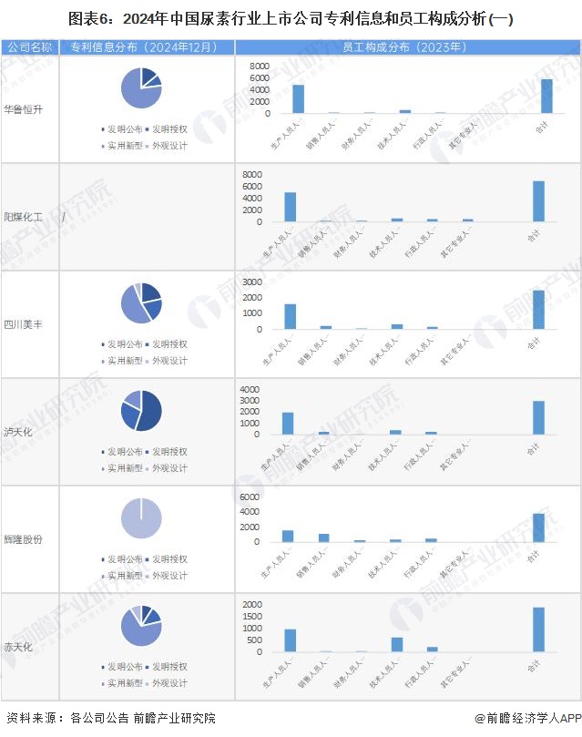 圖表6：2024年中國尿素行業(yè)上市公司專利信息和員工構(gòu)成分析(一)