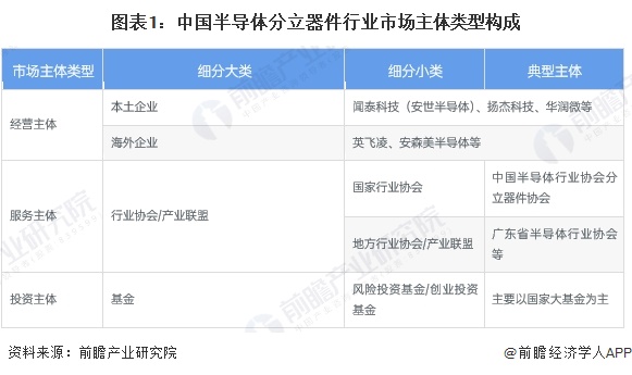 图表1：中国半导体分立器件行业市场主体类型构成