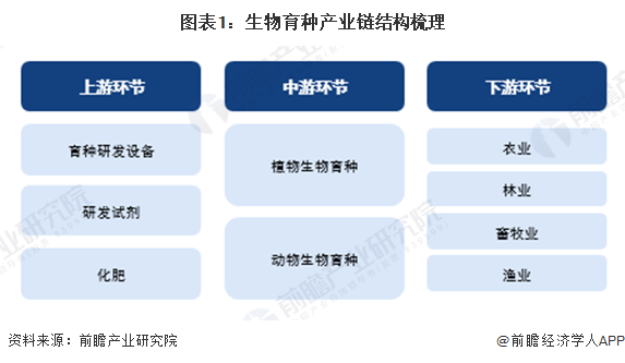 圖表1：生物育種產(chǎn)業(yè)鏈結(jié)構(gòu)梳理