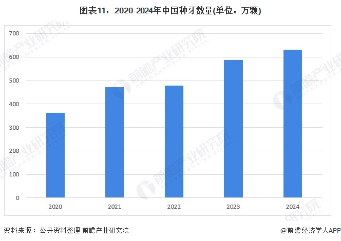 圖表11：2020-2024年中國種牙數(shù)量(單位：萬顆)