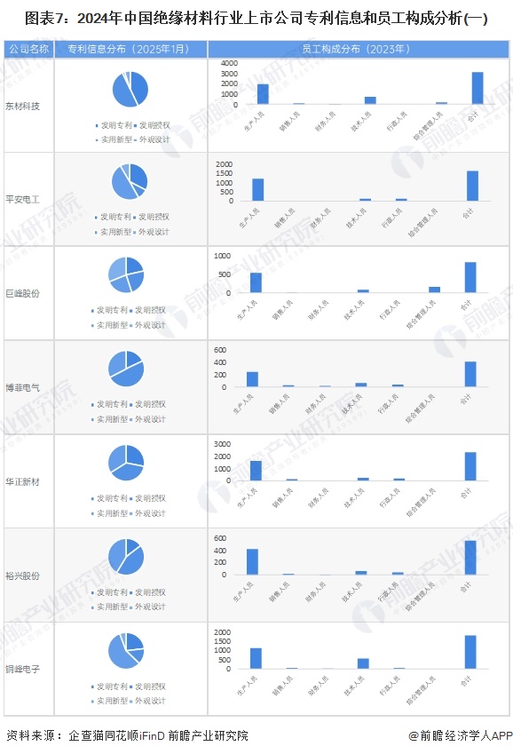 图表7：2024年中国绝缘材料行业上市公司专利信息和员工构成分析(一)