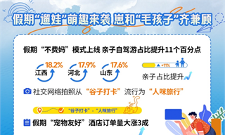 铲屎官花5万带猫狗旅行，宠旅生意有多赚？