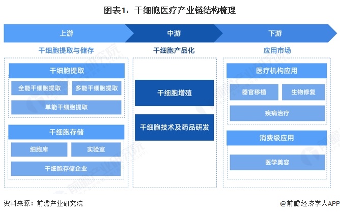 圖表1：干細胞醫療產業鏈結構梳理