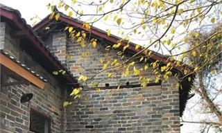 靠柴火气出圈的乡村面包店，能火多久？