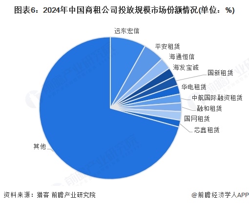 图表6：2024年中国商租公司投放规模市场份额情况(单位：%)