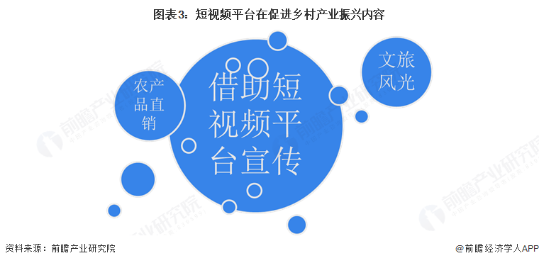 图表3：短视频平台在促进乡村产业振兴内容
